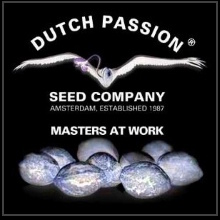 Blueberry / �u���[�x���[�i�t�F�~�i�C�Y�h�j