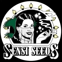 Afghani #1 / �A�t�K�j��1�i�t�F�~�i�C�Y�h�j